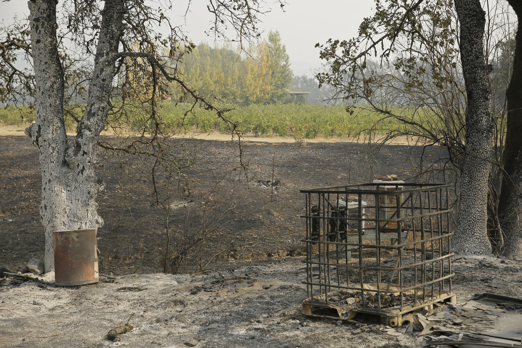 California Wildfires
